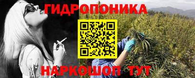 apvp Чебоксары